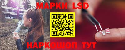стафф Донской