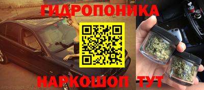 стафф Донской