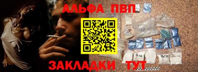 стафф Донской