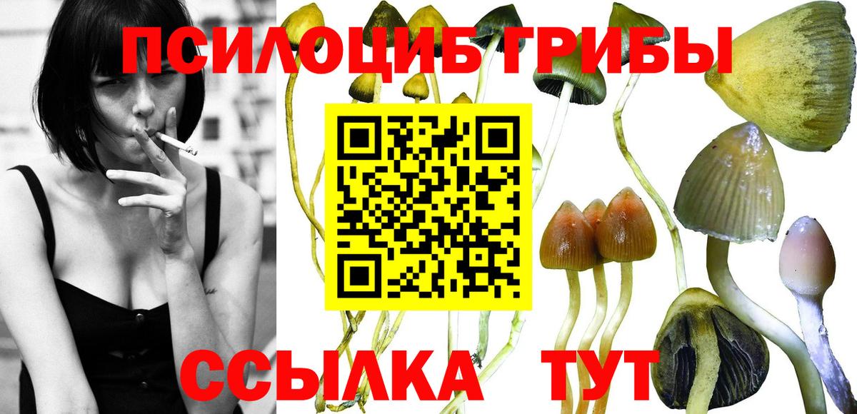 Галлюциногенные грибы мухоморы  Вход с VPN  Чехов 